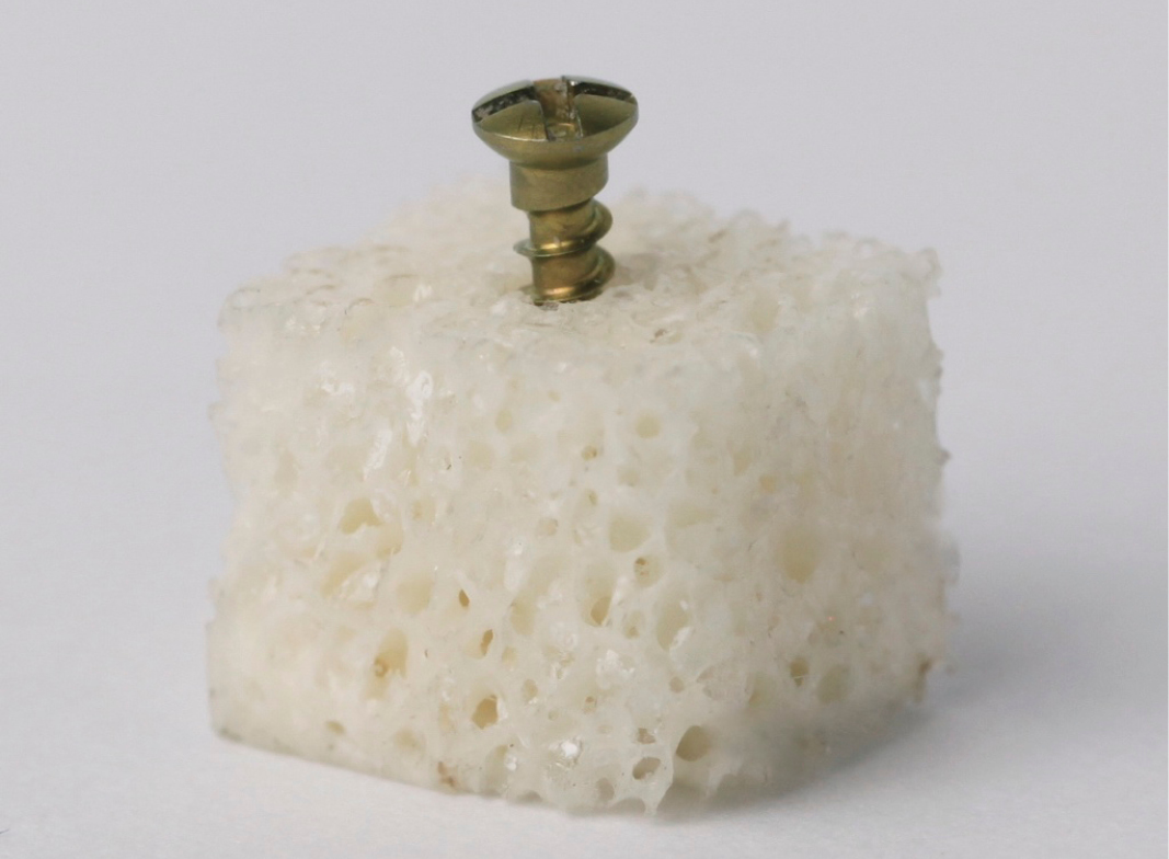 SMB011010 Smartbone bovine block 10 x 10 x 10 mm - Image 2