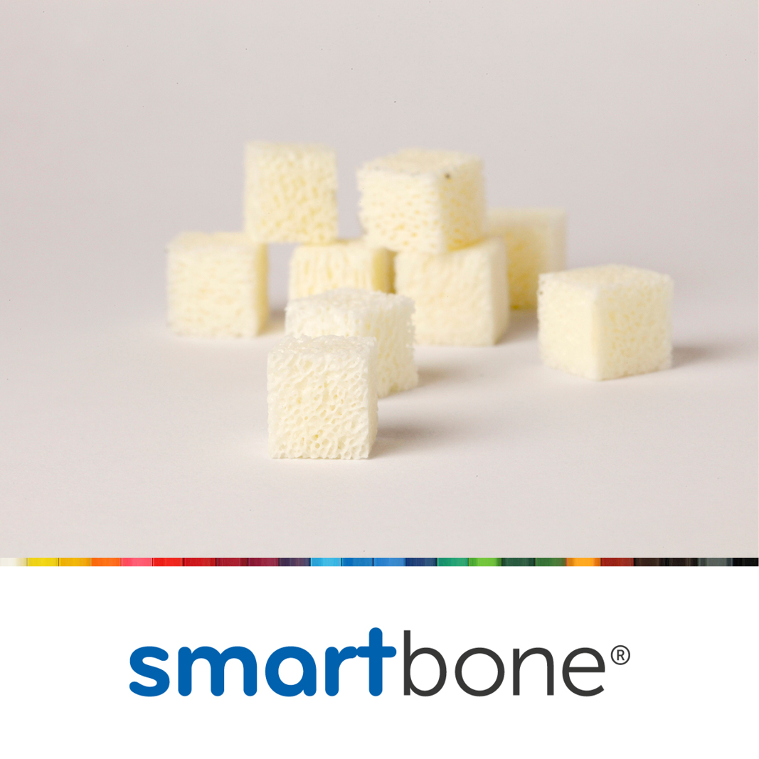 SMB011010 Smartbone bovine block 10 x 10 x 10 mm