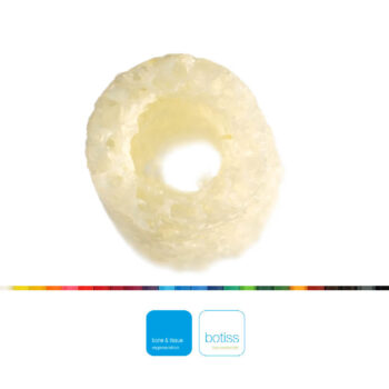 Maxgraft bone-ring